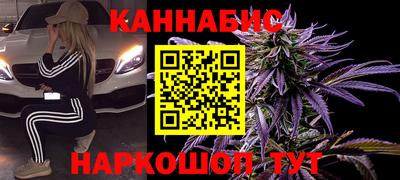 амф Кингисепп