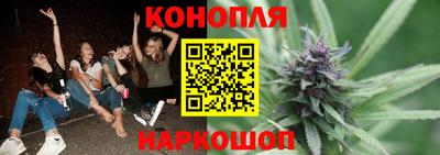 крисы Кимры