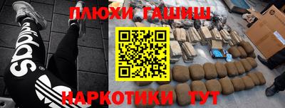 амф Кингисепп