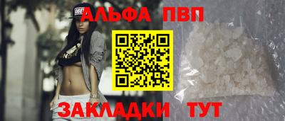 амф Кингисепп