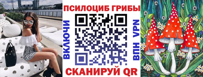 Псилоцибиновые грибы Psilocybine cubensis  продажа наркотиков  Кисловодск 