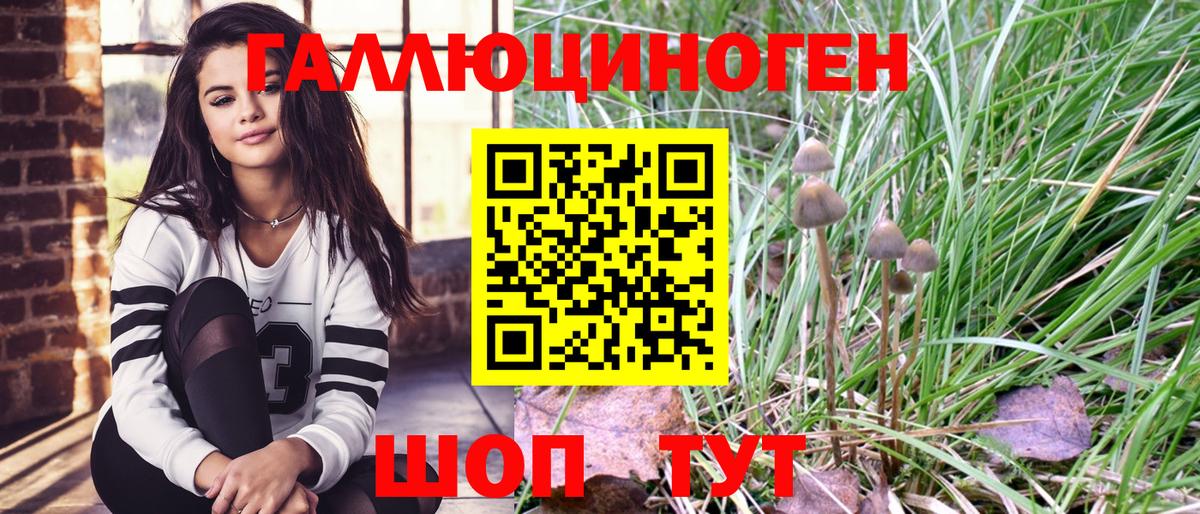 Кисловодск  Галлюциногенные грибы прущие грибы  Вход с VPN 