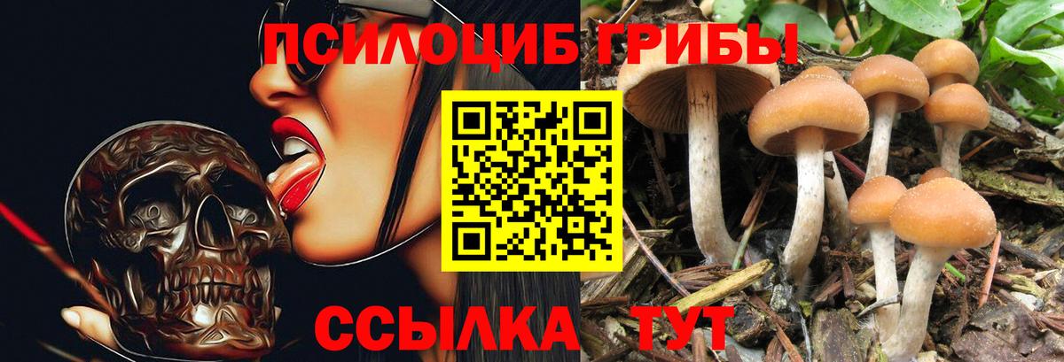 Псилоцибиновые грибы ЛСД Кисловодск
